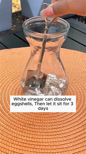 316K views · 2.3K reactions | Make your own fertilizer using eggshells #gardening #gardentools #gardeningtools #tool #tools #gardeningmakemehappy #handtools #cooltools #satisfying #gardeners #gardeninspiration #gardening #trees #tree #treesofinstagram #treestreestrees #treestagram #gardeningtips | Addicted Gardening | Facebook