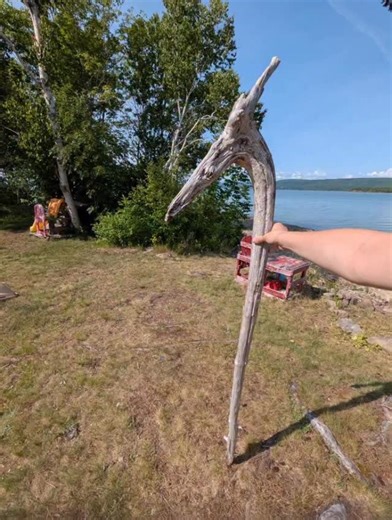 Official Stick Reviews on Instagram: "Rate this stick! 👀🪵 #sticknation"