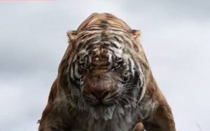 2016 is the year for animation movies, check out what's in store this year