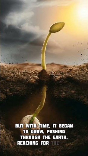 Seed Achievement English Film by Blue Short Movies