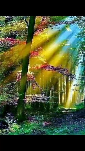 🥀💕🦁Raja Hutan🦁💕🥀 (@lionmonkey35)’s videos with EVI TAMALA NADA NADA CINTA - who is Me