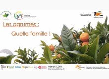 Revoir les conférences des Amis du Jardin des Plantes de Montpellier