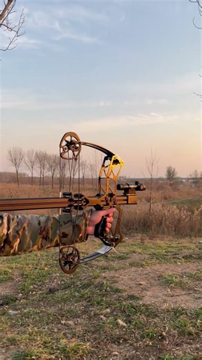 AR-16 Accuracy Demo｜Clean & Precise#archery #outdoors #sports #compoundbow #hunting #tools #funny