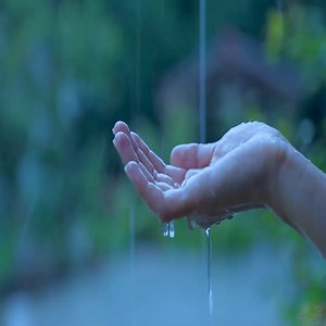 42K views · 2K reactions | Lovely Lady Cooking and Living ❤️殺 #Lovelylady #Beautiful | Countryside Cooking TV | Facebook