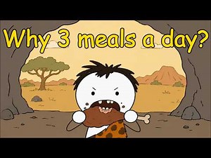 Why Humans Eat 3 Meals a Day