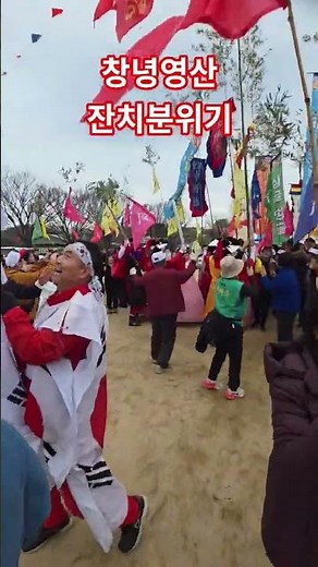 창녕 영산은 지금 축제 한가운데! 쇠머리대기 현장 #천을귀인tv