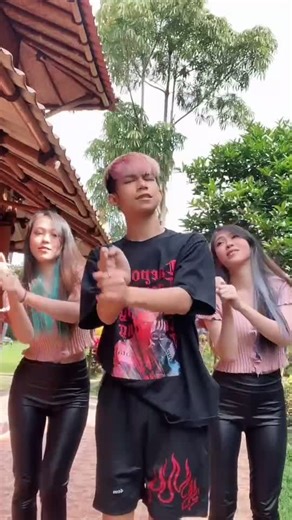 Identical Dance Showcase: Synchronized Coordination