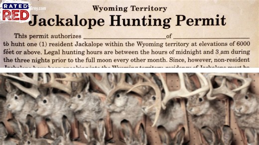 5 Strange but True Facts About the Jackalope