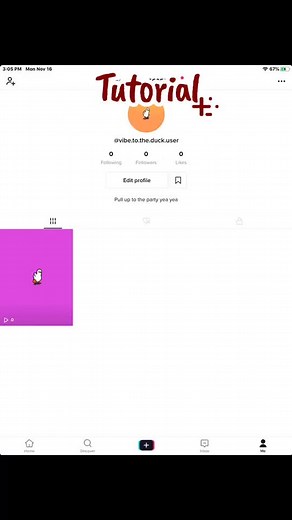 Tutorial of how to do the vibe to the duck vid!