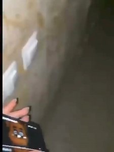 218K views · 4.7K reactions | Five Nights at Freddy’s ◇REASONABLE REACTION◇ ________________________________ #FiveNightsAtFreddys #fnaf #FNAF_entertainment_FB #fnaffans #fandom #fanart #reel Video by luna_fnaf3 [TikTok] Upload by Fnafhumour [Instagram] ~ Admin Variola Vera | Five Nights At Freddy's Entertainment | Facebook