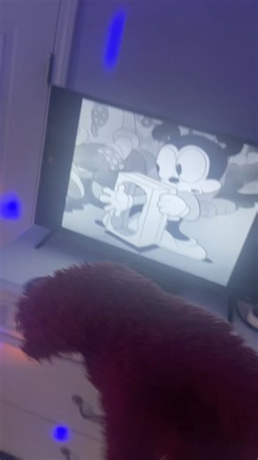 elmo world birds computer