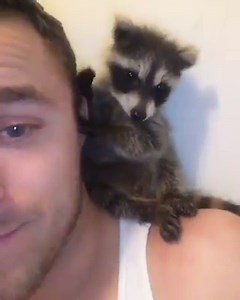 43K views · 1.5K reactions | When you and bae are inseparable  | boohoo.com | Facebook