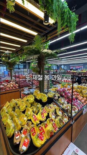 명절 끝나고 뭐 해먹을지 고민되셨던 이천 주민분들! 제일 식자재에서 봄 제철 식재료 역대급 파격 세일 들어갔는데 제가 핵심 꿀템만 빠르게 소개해드릴게요!