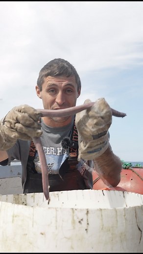 Jacob Knowles on Instagram: "We caught Slime Eels and they’re way creepier than we thought! #maine #lobster #sustainable #forthefuture #commercialfishing #seafood #interesting #didyouknow #education #learn #slimeeels #fishing #oceandepth"