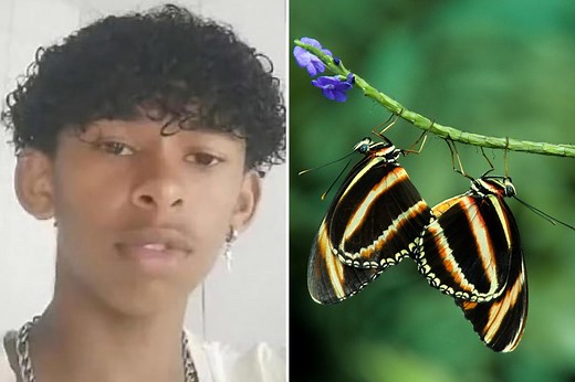 Teen dies after injecting himself with butterfly remains — possibly as part of twisted online challenge: report