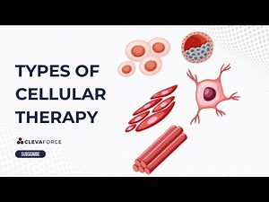Types of Cell Therapy