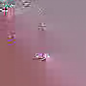 600K views · 1.5K shares | What? You’ve never had a hungry, angry Jaguar come at you? She might try to impress me and subdue me mentally like she has done with her boyfriend Ma-Tzu, but I’ve known her since she was a baby, so she doesn’t impress me :) #Cielis #PropertyOfCielo #SaveJaguars @johnmac_bjwt | The Black Jaguar-White Tiger Foundation | Facebook