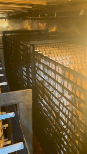 The smokehouse is fired up! 🔥 Volunteers are on call around the clock this week, pulling out perfectly smoked sausage and racking up more every few hours. Thank you to everyone helping make the Verboort Sausage & Kraut Festival deliciously possible! #verboortsausagefestival | Verboort Sausage & Kraut Festival