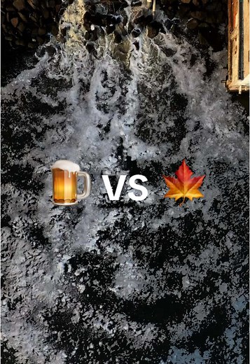 Exploring the Joy of Uplifting Content