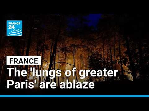 Blaze burns through 'lungs of greater Paris' Fontainebleau forest • FRANCE 24 English