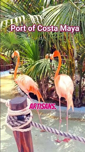 Our Unforgettable Cruise Stop in Costa Maya, Mexico #travelblog #cruiseport #mexicotravel