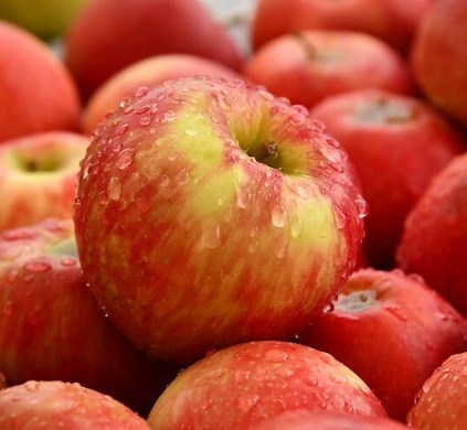 How to Make Applejack | Eight Oaks Farm Distillery