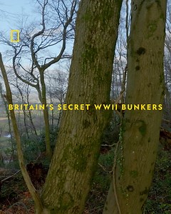 Over 600 bunkers were constructed around the coast of Britain, as part of a resistance network during WWII. A civilian fighting force was trained in various pursuits including sabotage and wireless operation, to be called upon should the Axis powers invade. This bunker was intended for a wireless operator, who would gather information on the invading army. The bunkers had no escape tunnel, so should the bunker be found, the operators would likely give their life. Britain's guerilla civilian forc