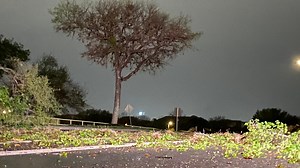 More than 140 active power outages reported due to damaging high winds, CPS Energy says