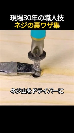 現場30年の職人技ネジの裏ワザ集👷‍♂️🔩🪛