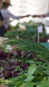 Vertical video of beets on display for sale at local farms market.
