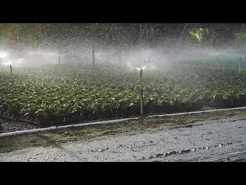 Perfect coverage with Senninger mini-Wobblers