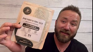 Jungle Powders Tongkat Ali for Men 200:1 Extract 282 Servings, Black Ant Powder 30:1 94 Servings 5oz of Filler Free Longjack Root & Black Ant Supplement Traditional Mens Health Support for Drive