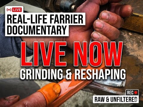 L26-71 “LIVE: No Script. Real Farrier in Action”