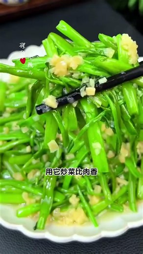 I recommend planting some three lobed water spinach this spring It has a high