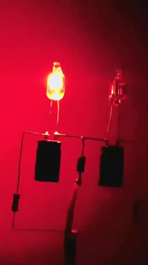 DIY Neon Light Flasher Project with LED Lights - Step-by-Step Guide