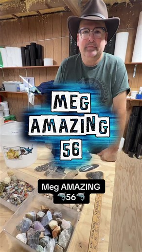 Meg Amazing: Discover Buried Treasure and Fossils