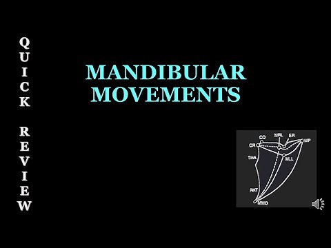 MANDIBULAR MOVEMENTS