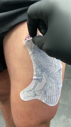 Hawk Tattoo Process: Fine Line Techniques Explained