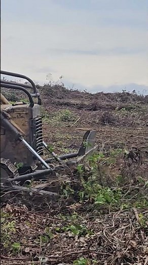 Trator De Esteira Komatsu D65 Trabalhando #dozer #tratordeesteira #bulldozer #farming
