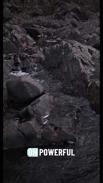 Beyond Sensors: IoT's Python-Powered Edge Intelligence