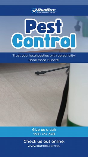 Pests don’t stand a chance! 烈 Dunrite’s residential and commercial pest control services eliminate unwanted guests quickly and safely. From homes to businesses, we ensure a pest-free environment with expert solutions. Book your service today! Done once, Dunrite! #pest #pestcontrol https://dunrite.com.au/ | Dunrite Termite & Pest Control | Facebook