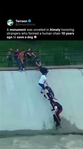 Strangers Form Human Chain to Save Dog