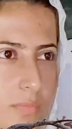 Stunning Close-Up of an Eagle in Nature