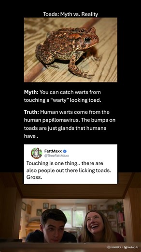Toads: Myth vs Reality