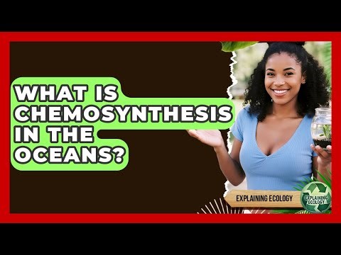 What Is Chemosynthesis In The Oceans? - Explaining Ecology