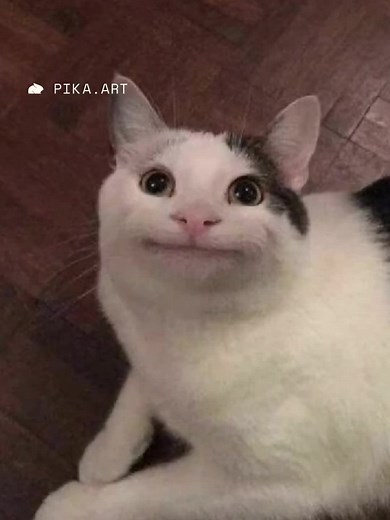 Squish Art Drawing Tutorial | Try Pika.AI Effects