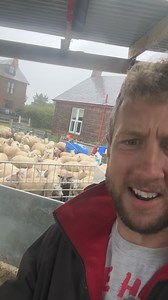112K views · 2.1K reactions | What a summer! | The Sheep Game | Facebook