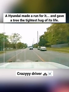 25M views · 405K reactions | A Hyundai made a run for it... and gave a tree the tightest hug of its life. ☠️ | Cops Moment | Facebook