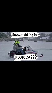 Yes. It's actually Florida. Check the small tree in the yard 👀 #Wedgelife | Wedge Life