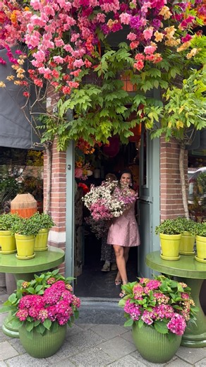 Looking forward to the Waxflower season of 2026! Take a look at these stunning Waxflower bred by @helix_australia World famous wedding planner @nadiaduran and floral artist and influencer Pien of @jasmijn_bloembinders are showing you; Moonlight Delight, Sarah’s Delight, Rhiannon, Kerryn and Niek’s Pride! #waxflower #chamelaucium @thursdofficial @ed_kirwa | Peter van Delft
